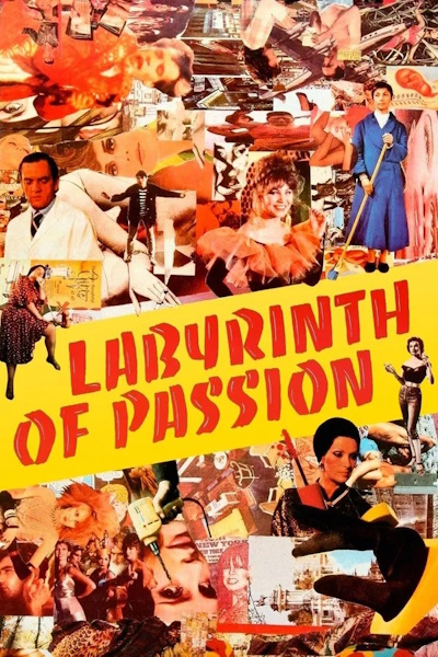 Labyrinth of Passion (Laberinto de pasiones)