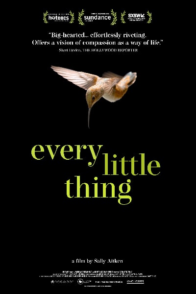 Every Little Thing