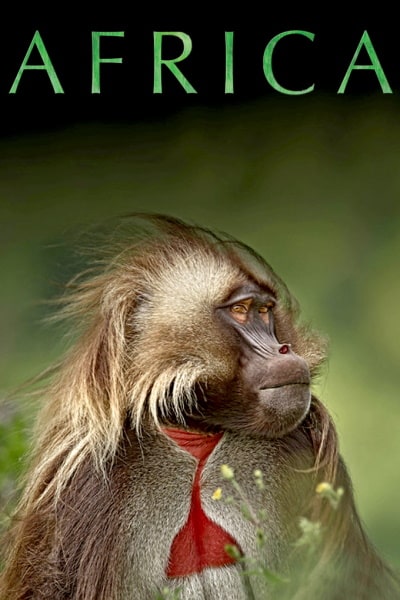Africa - Season 1