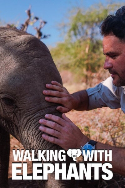 Walking With Elephants - Season 1