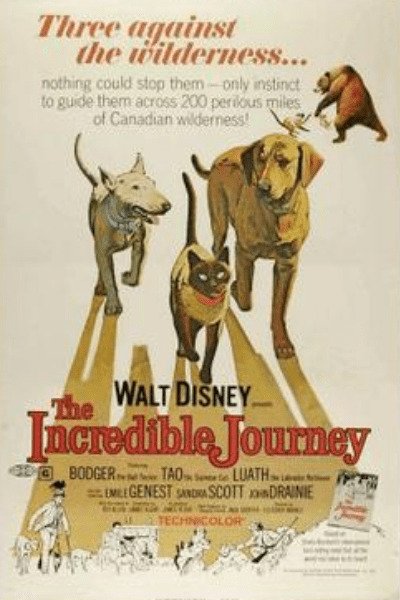 The Incredible Journey