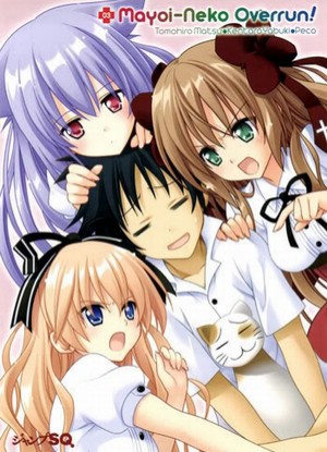 Mayoi Neko Overrun [Sub: Eng]