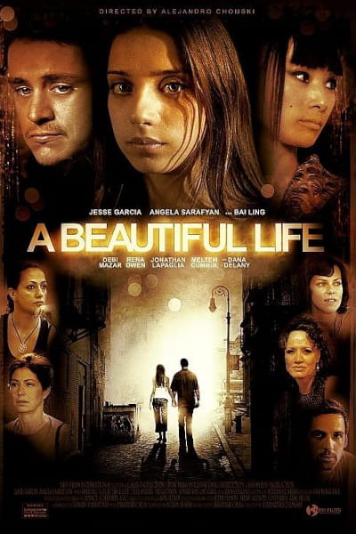 A Beautiful Life (2008)