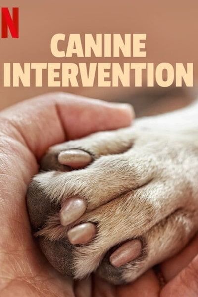 Canine Intervention&nbsp;- Season 1