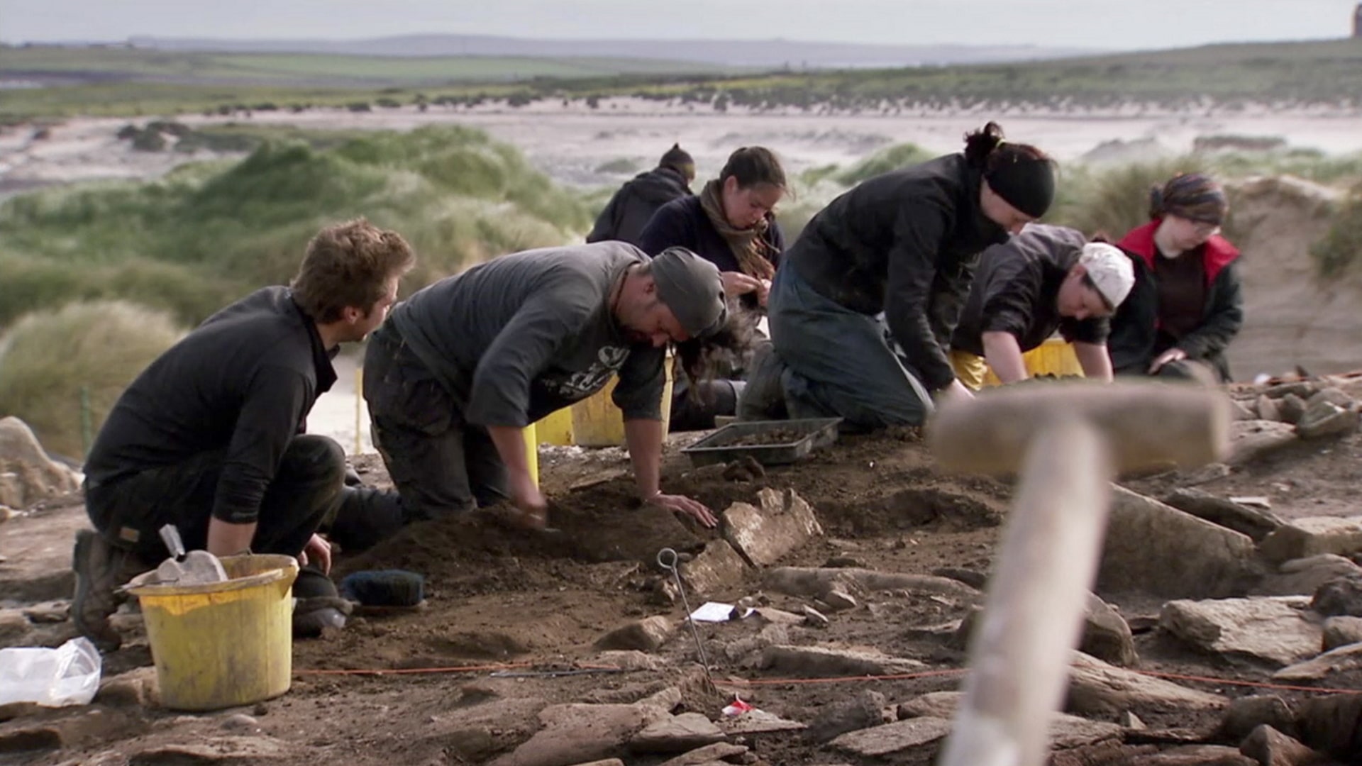 Season 8