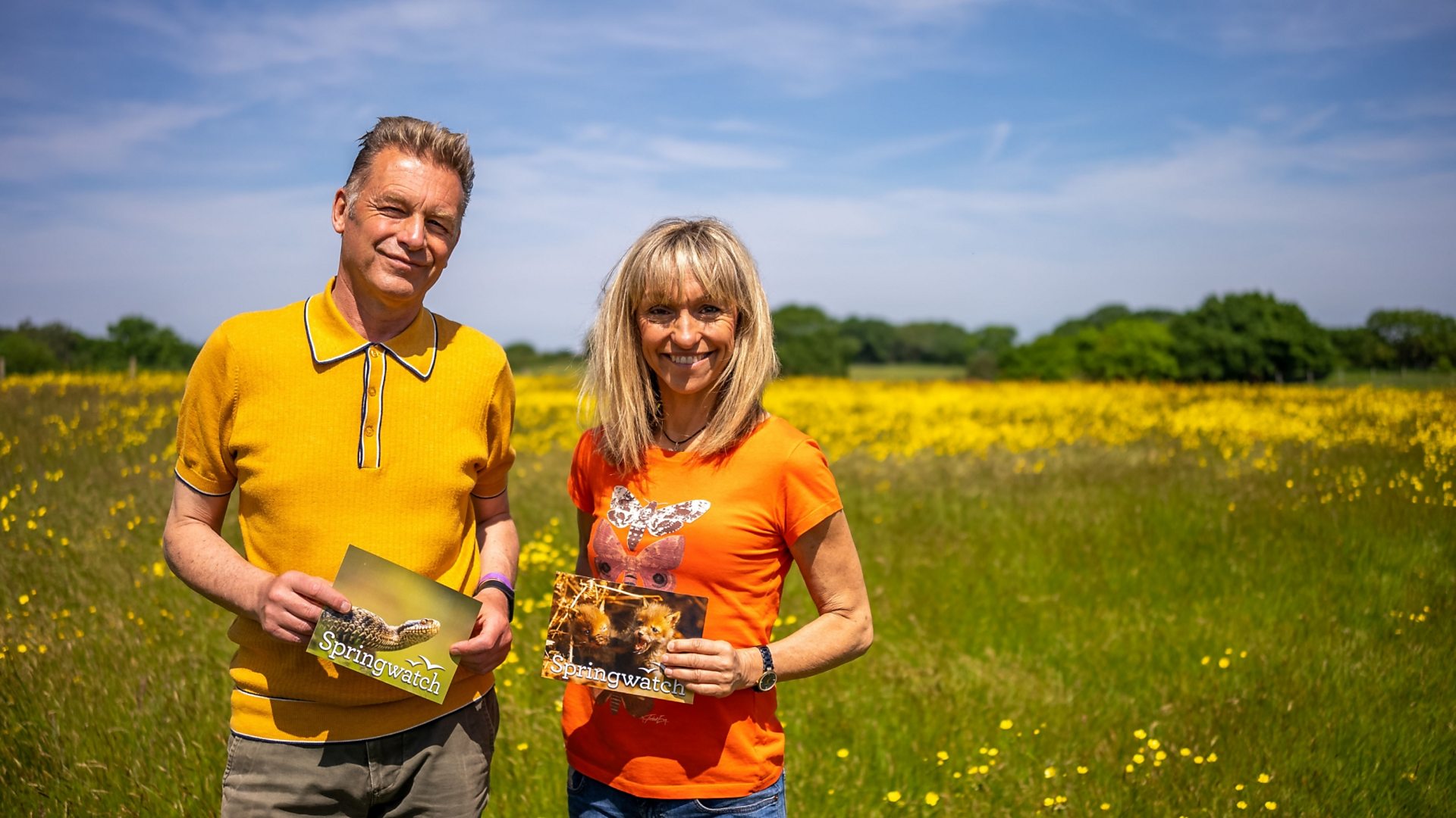 Season 15